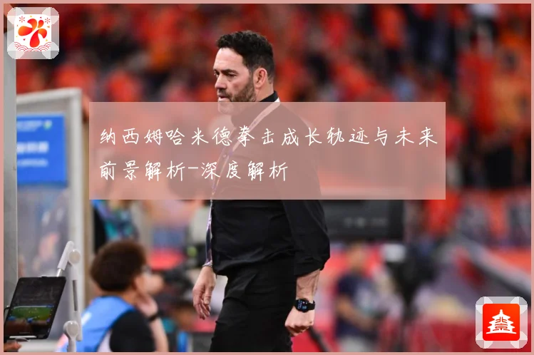 纳西姆哈米德拳击成长轨迹与未来前景解析-深度解析