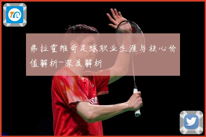 弗拉霍维奇足球职业生涯与核心价值解析-深度解析