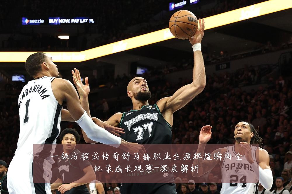 一级方程式传奇舒马赫职业生涯辉煌瞬间全纪录成长观察-深度解析