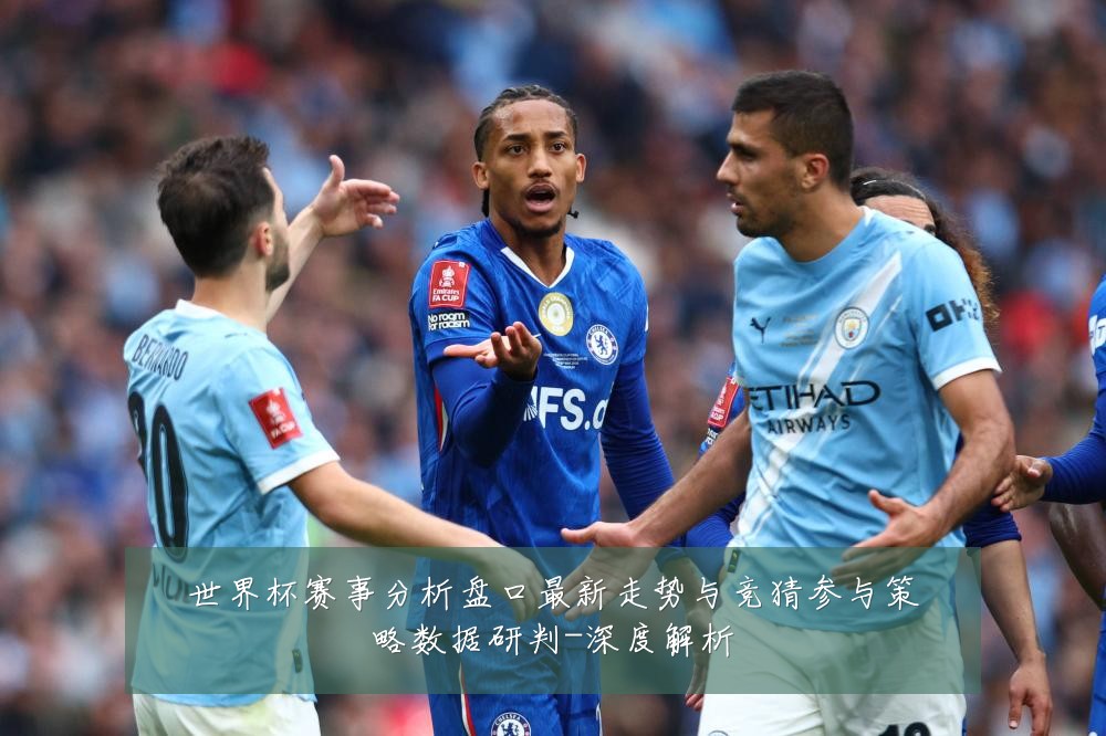 世界杯赛事分析盘口最新走势与竞猜参与策略数据研判-深度解析